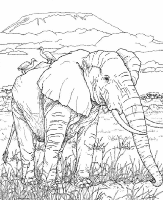 A coloring page of nature in africa